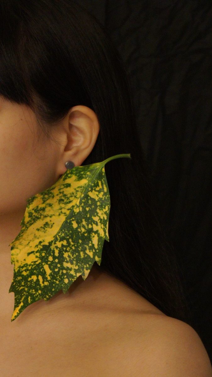big green leaf